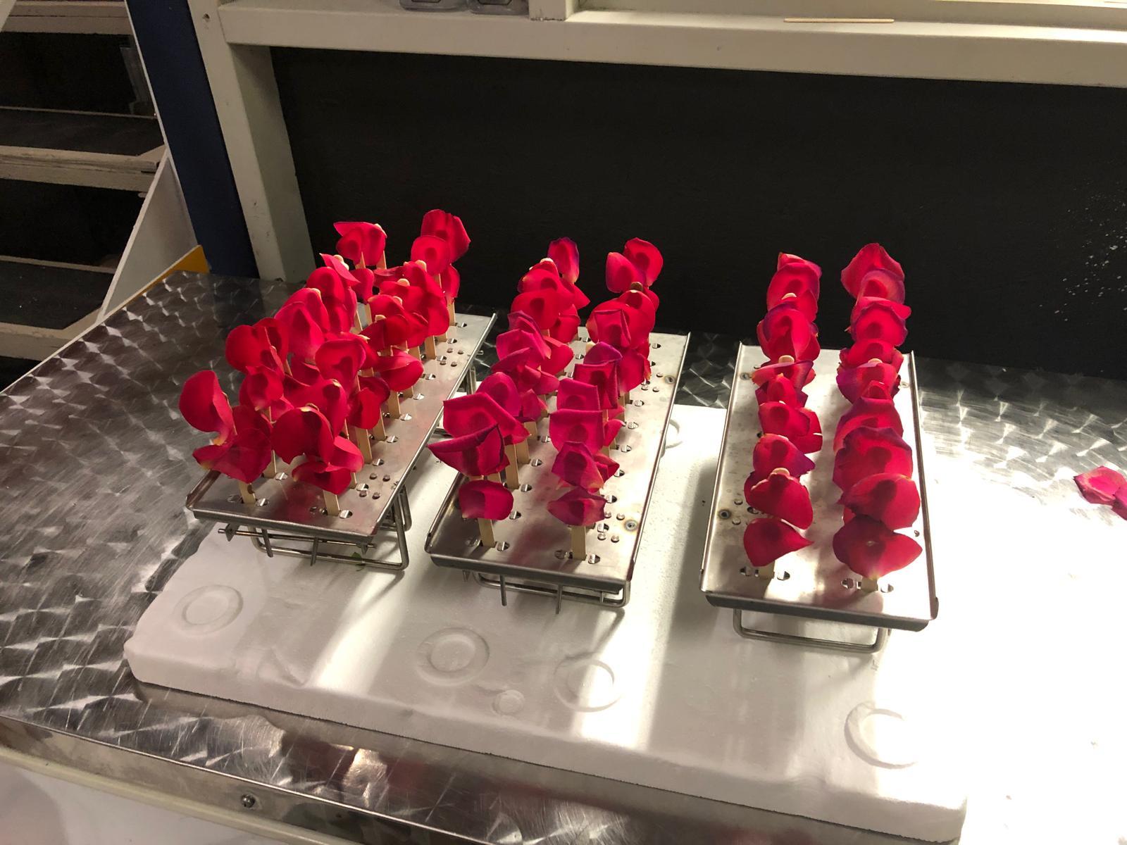 Fresh red rose petals positioned in stainless steel lolly mould racks for KENZO perfume launch ice lollies